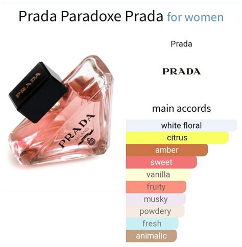 notes in prada paradoxe